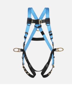 Safety harness