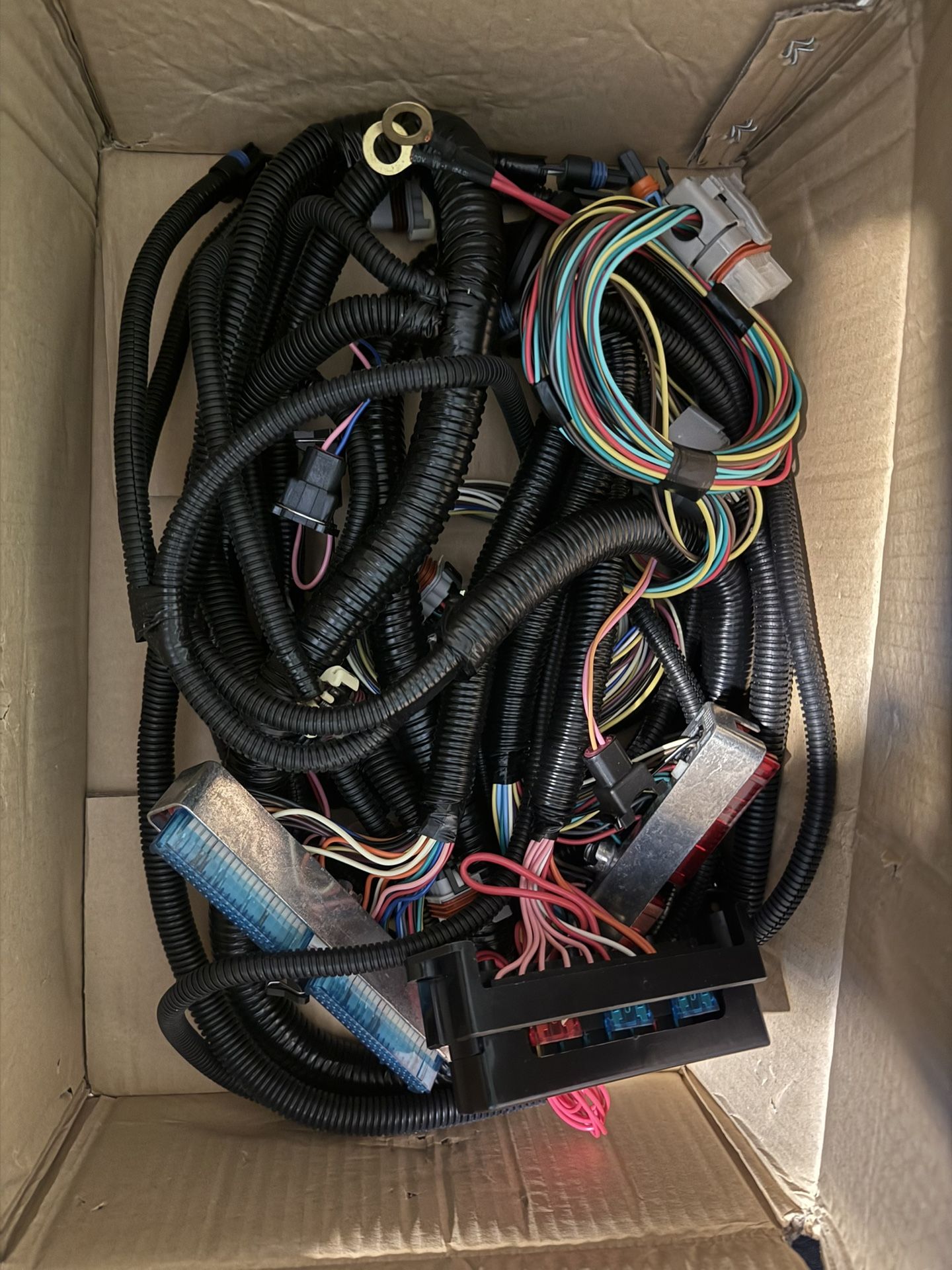 Dbw 5.3 Ls Swap Harness