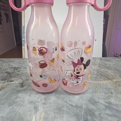 2020 EPCOT FOOD WINE FESTIVAL CHRF MINNIE PLASTIC WATER BOTTLE 
