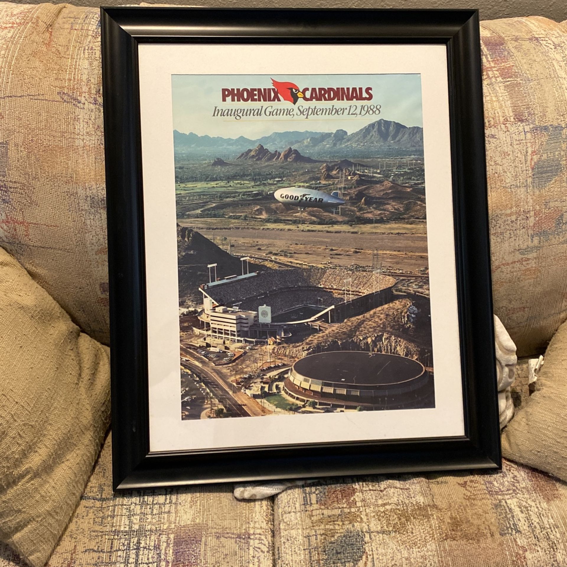 Arizona Cardinals Framed Picture