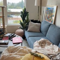 Blue Sectional Couch