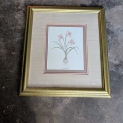 Signed Print Daffodil Botanical BERTRAND