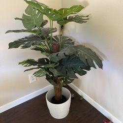Fake Plant 