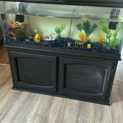 Fish Tank And Accessories 