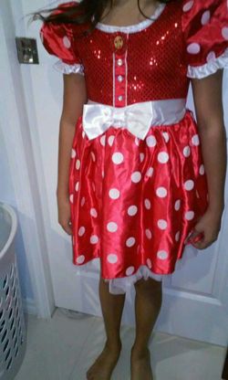 Disney Minnie Costume
