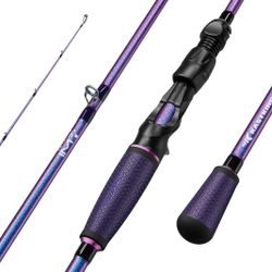 Royale Legend Pro Technique Bass Fishing Rod