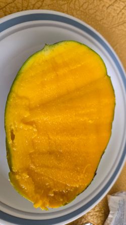 U-Pick Keitt Mangoes $2.50 per pound