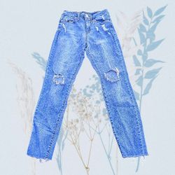 Women's Wild Fable Jeans