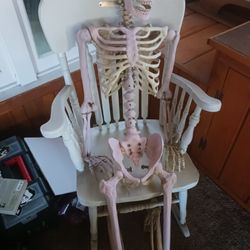 Halloween Decorations Life Sized Skeleton 