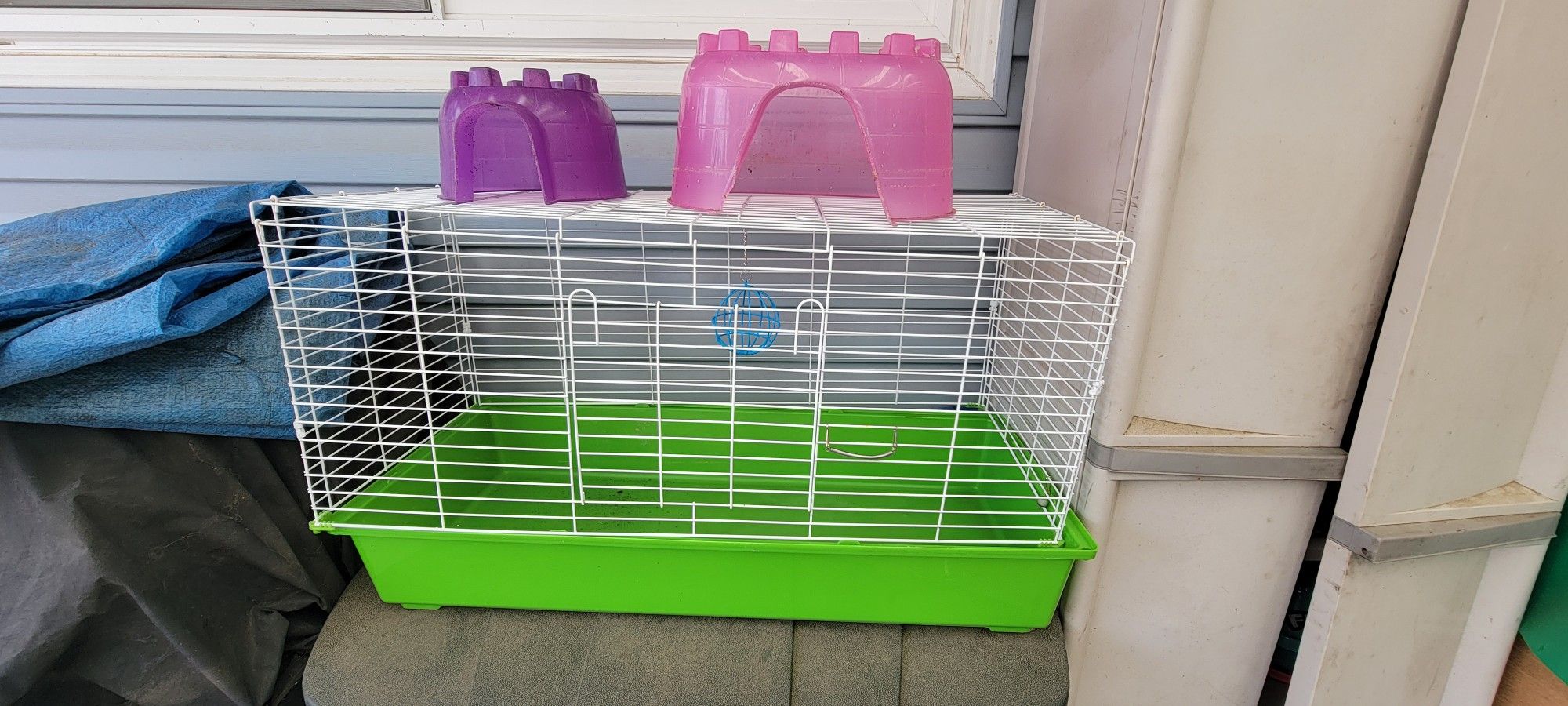 Guinea Pig Cage 