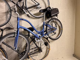 Townie Electra Bike