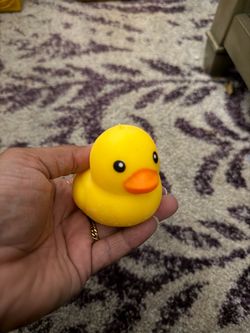 Crunchy duck squishy