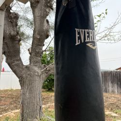 Punching Bag