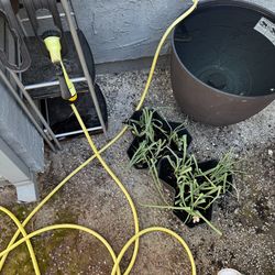 garden hose set with adjustable spray nozzle