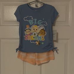 Brand New Girls Outfit Size 4T Kids 