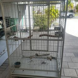 Parrot cage