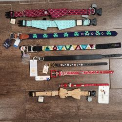 Dog Collars 
