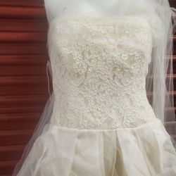 strapless open back dress Giovanna Dress  Dress the Population