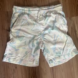 Men’s Small Zara Shorts