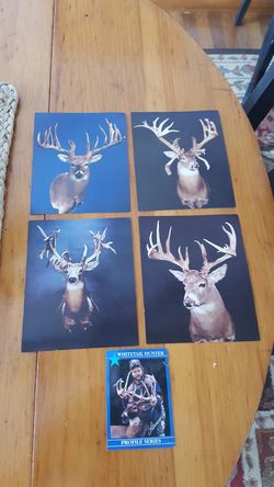 4 Deer Hunting postcards