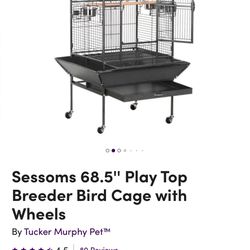 Bird Cage - Parrot