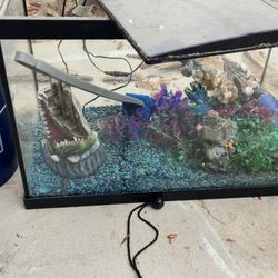 Fish Tank