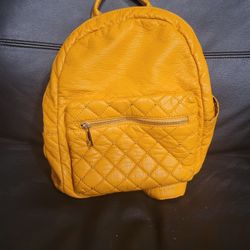 Backpack/Purse