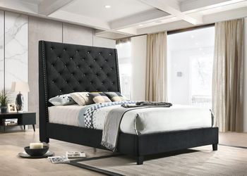 New Queen Bedframe
