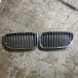 Bmw F10 5 Series grill
