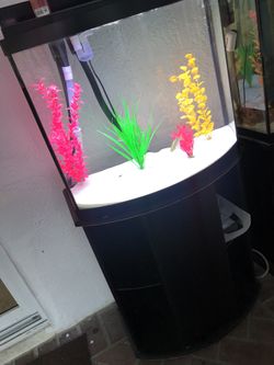 Fish Tank