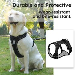 Adjustable Oxford Dog Harness No Pull and Leash Set