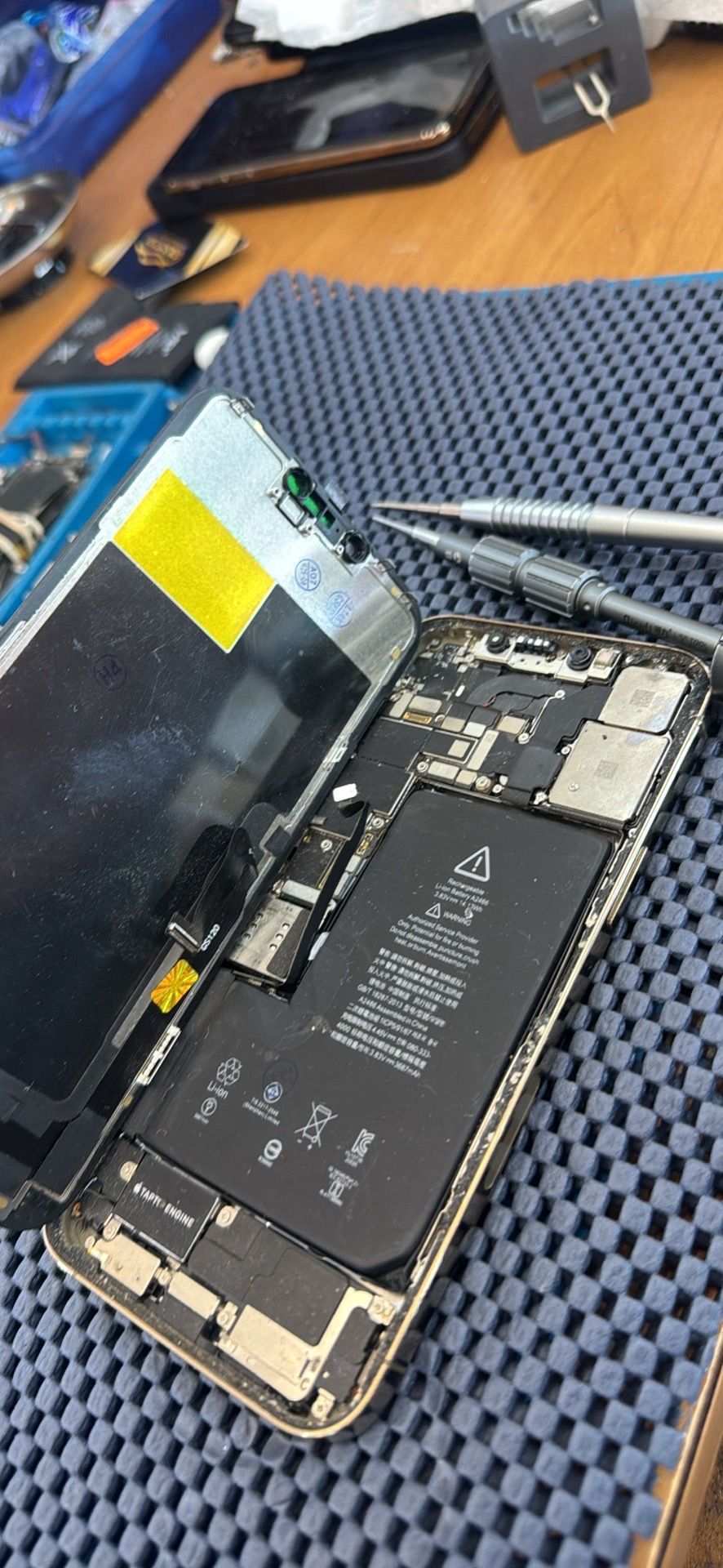 iPhone screen and Backglass