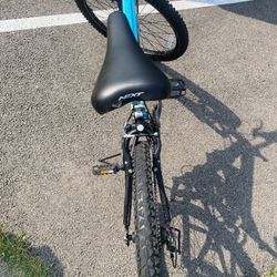 Next Mountain Bike 