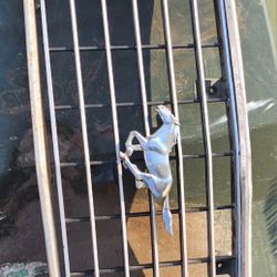 1978 ish mustang ll grill 