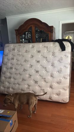 Queen bed
