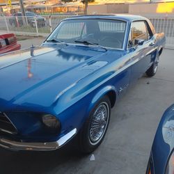 1967 ford mustamy for sale