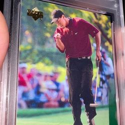 Tiger Woods Rookie Card