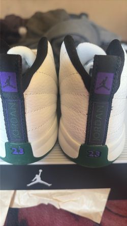 Jordan retro 12