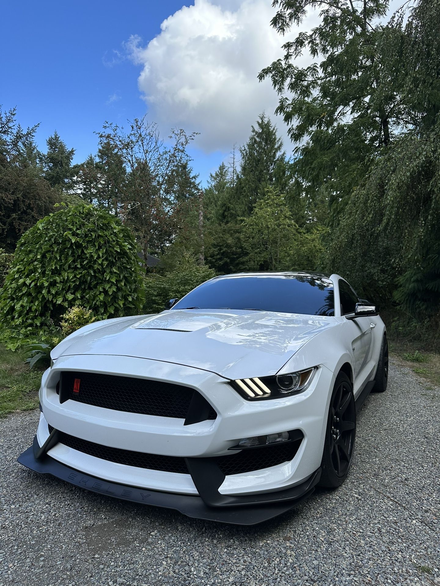 2018 Ford Shelby Gt350