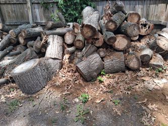 Oak
