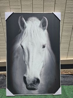 White horse canvas with frame - BRAND NEW IN BOX