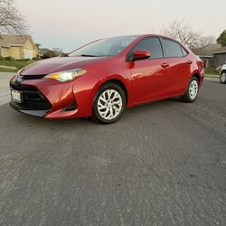 2019 Toyota Corolla Extremely Clean 