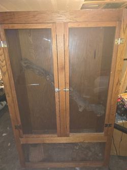 Reptile cage