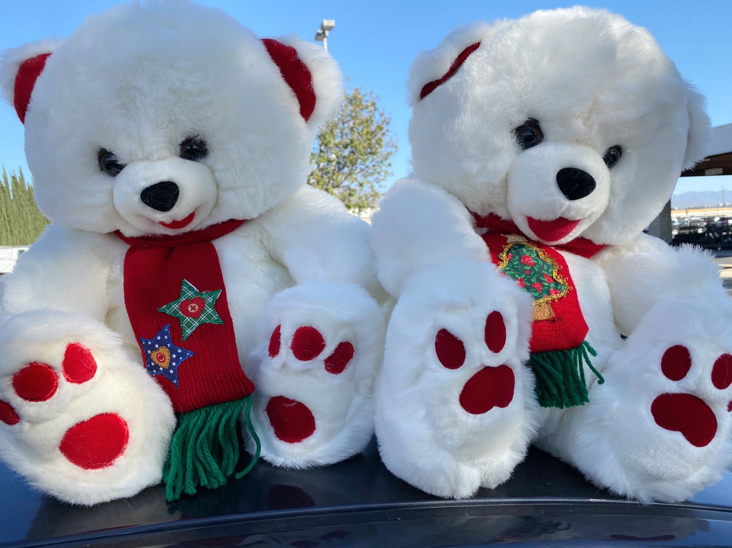 Holiday Teddy Bear Set