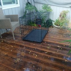 2 Large Foldable Portable Dog Kennels