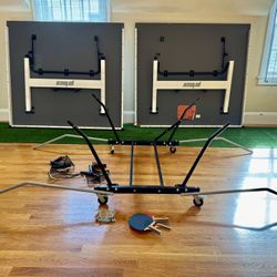 Ping Pong Table (Prince)