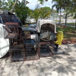 Doggie Kennels (Different Sizes) Make Offer