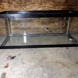 20g Long Aquarium