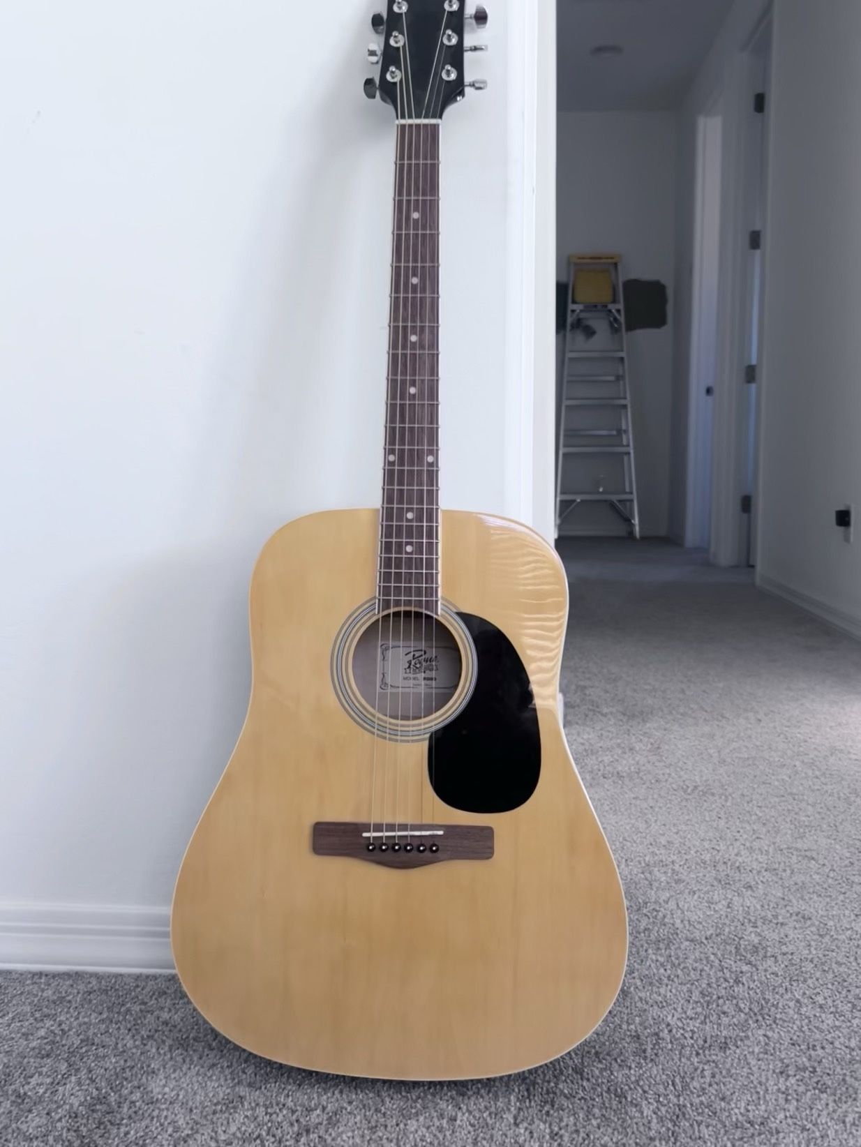 Acoustic Guitar