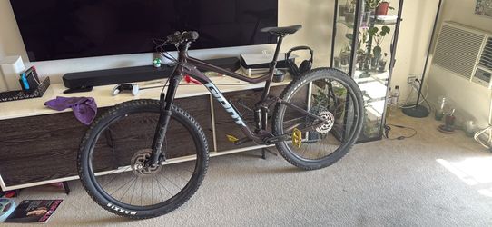 29” Large Giant Stance 1 2022